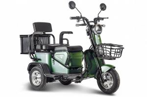 Электрический Трицикл Rutrike Навигатор (Зеленый-2352)