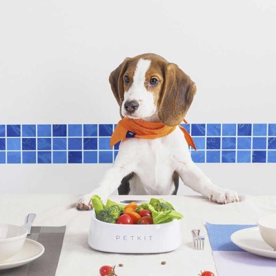 фото Миска-весы для корма Xiaomi Smart Weighing Bowl White