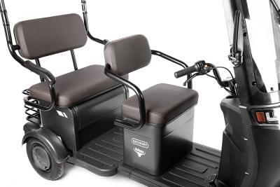 фото Электротрицикл Rutrike Gelbert Bos 48V/60V 800Вт