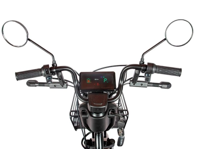 фото Пассажирский Электрический Трицикл Rutrike Караван