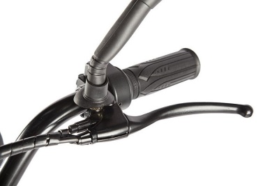 фото Электровелосипед Велогибрид GREEN CITY e-ALFA Fat (Коричневый-2162)