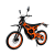 фото Электропитбайк Kugoo Wish 04 Pro