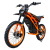 фото Электропитбайк Kugoo Wish 02 Pro
