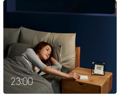 фото Беспроводной выключатель Xiaomi Aqara smart Wall Wireless switch Double key D1 ( Двойной)