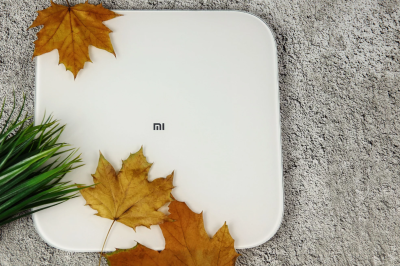 фото Умные весы Xiaomi Mi Smart Scale 2