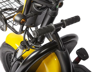 фото Пассажирский Электрический Трицикл Rutrike Бумеранг