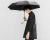 фото Зонт автоматический Xiaomi Mi Mijia Automatic Umbrella