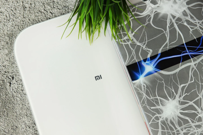 фото Умные весы Xiaomi Mi Smart Scale 2
