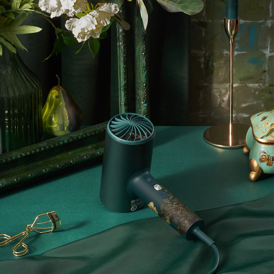 фото Фен для волос Xiaomi Soocas & Van Gogh Museum Design (зеленый)