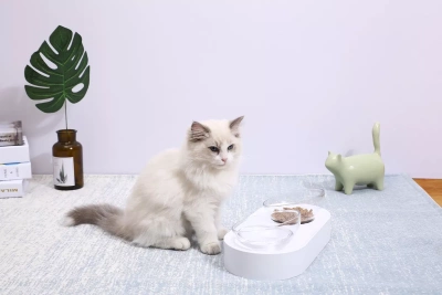 фото Двойная миска для кошек и собак Petkit Fresh Nano, белая