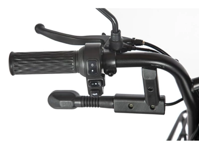 фото Пассажирский Электрический Трицикл Rutrike Караван