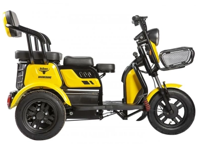 фото Пассажирский Электрический Трицикл Rutrike Бумеранг