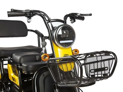 фото Пассажирский Электрический Трицикл Rutrike Бумеранг