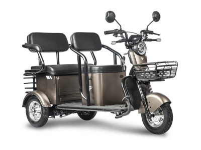 фото Пассажирский Электрический Трицикл Rutrike Караван