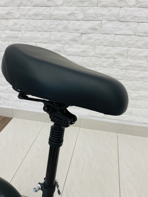 фото Электросамокат Kugoo Max Speed