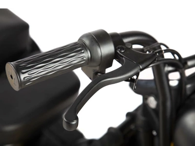 фото Пассажирский Электрический Трицикл Rutrike Бумеранг