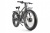 фото Электровелосипед Велогибрид VOLTECO BIGCAT DUAL NEW