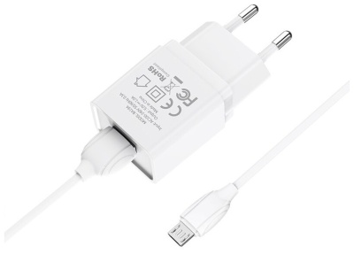 фото СЗУ Borofon BA19A +Кабель MicroUSB