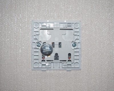 фото Беспроводной выключатель Xiaomi Aqara Smart Light Switch (двойной)