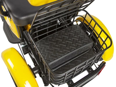 фото Пассажирский Электрический Трицикл Rutrike Бумеранг