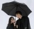фото Зонт автоматический Xiaomi Mi Mijia Automatic Umbrella