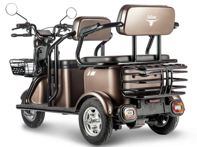 фото Пассажирский Электрический Трицикл Rutrike Караван