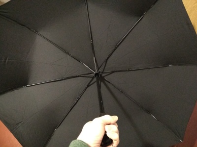 фото Зонт автоматический Xiaomi Mi Mijia Automatic Umbrella