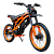 фото Электропитбайк Kugoo Wish 02 Pro