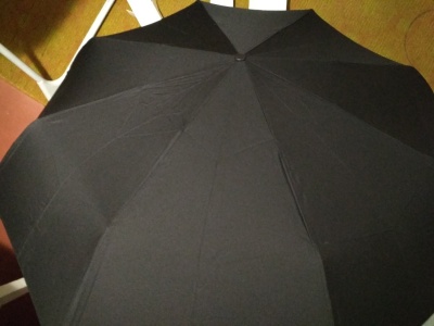 фото Зонт автоматический Xiaomi Mi Mijia Automatic Umbrella