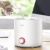 фото Увлажнитель воздуха Xiaomi Deerma DEM-F300 EU